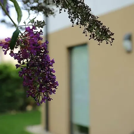 Townhouse On Budapest Border